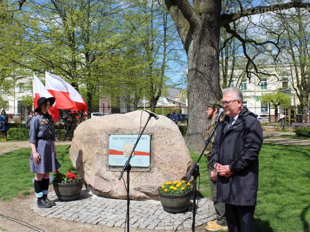 Festyn rodzinny, odpust i święto Konstytucji w Mławie