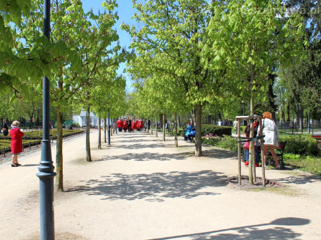 Festyn rodzinny, odpust i święto Konstytucji w Mławie