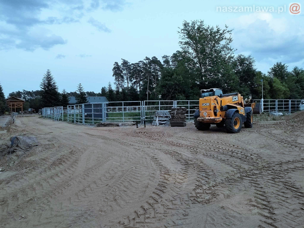 Zagroda żubrów na Krajewie [ZDJĘCIA]