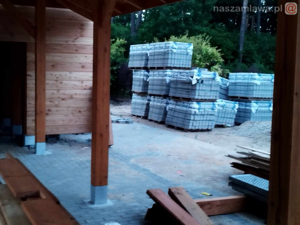 Zagroda żubrów na Krajewie [ZDJĘCIA]