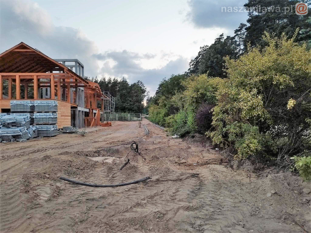 Zagroda żubrów na Krajewie [ZDJĘCIA]