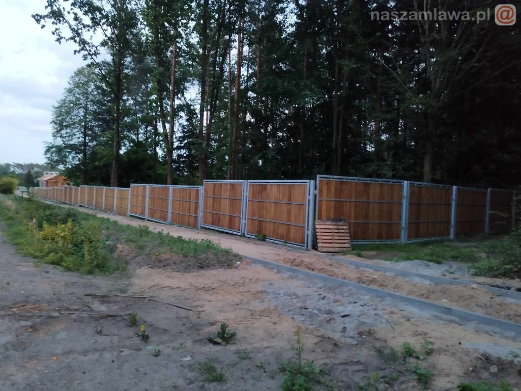 Zagroda żubrów na Krajewie [ZDJĘCIA]