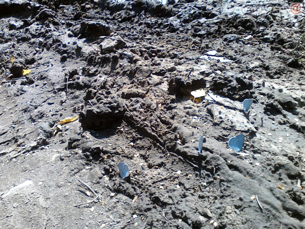 Nie łap, nie dotykaj, fotografuj! [ZDJĘCIA]