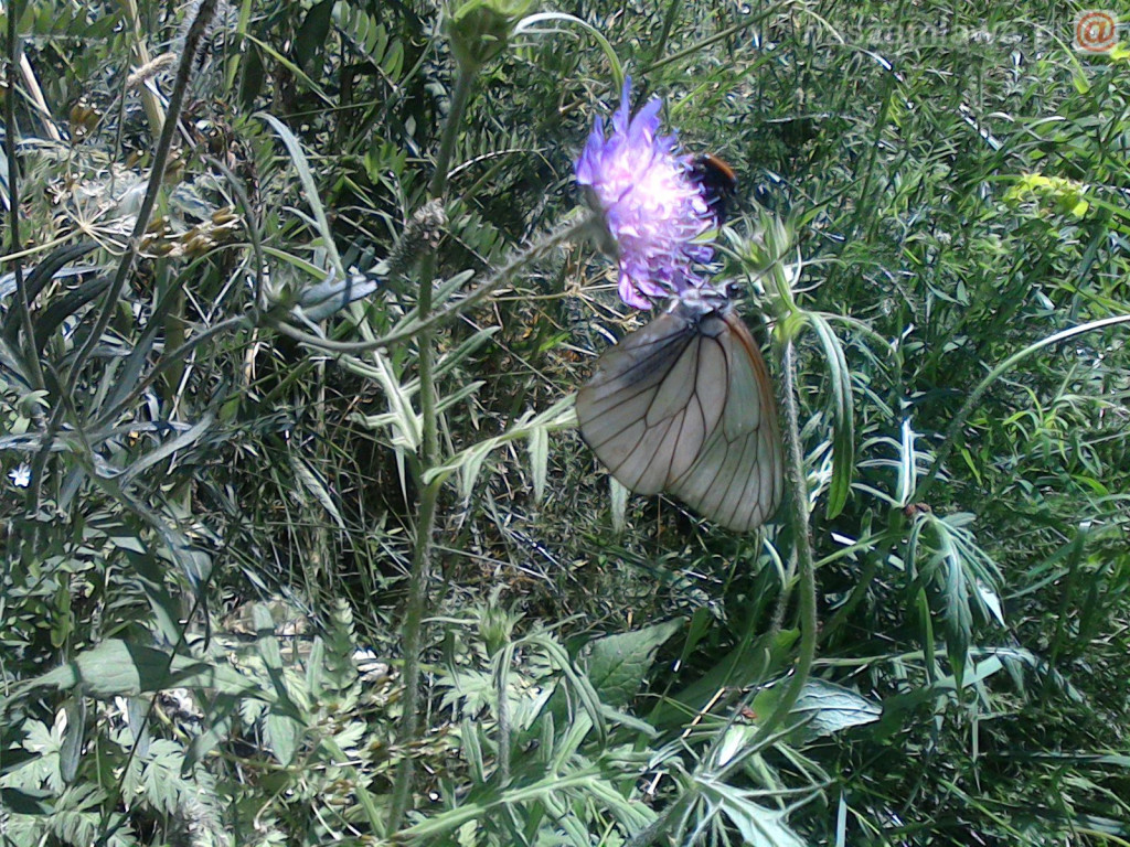 Nie łap, nie dotykaj, fotografuj! [ZDJĘCIA]