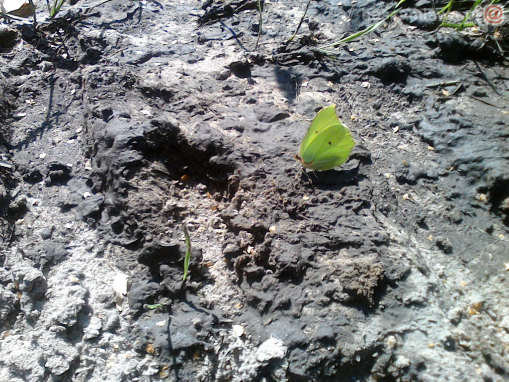 Nie łap, nie dotykaj, fotografuj! [ZDJĘCIA]