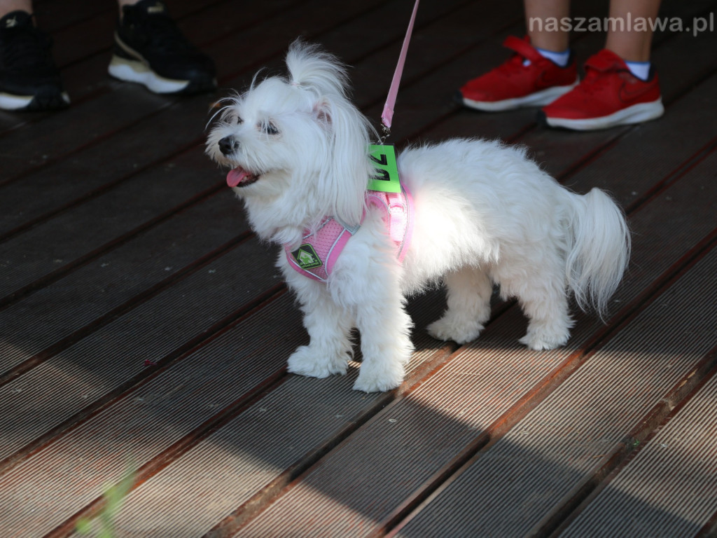 Piknik z Czworonogiem [ZDJĘCIA]