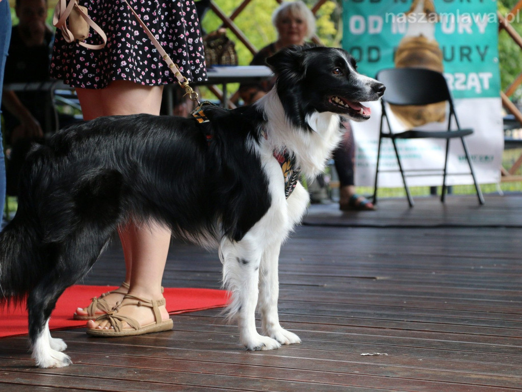 Piknik z Czworonogiem [ZDJĘCIA]