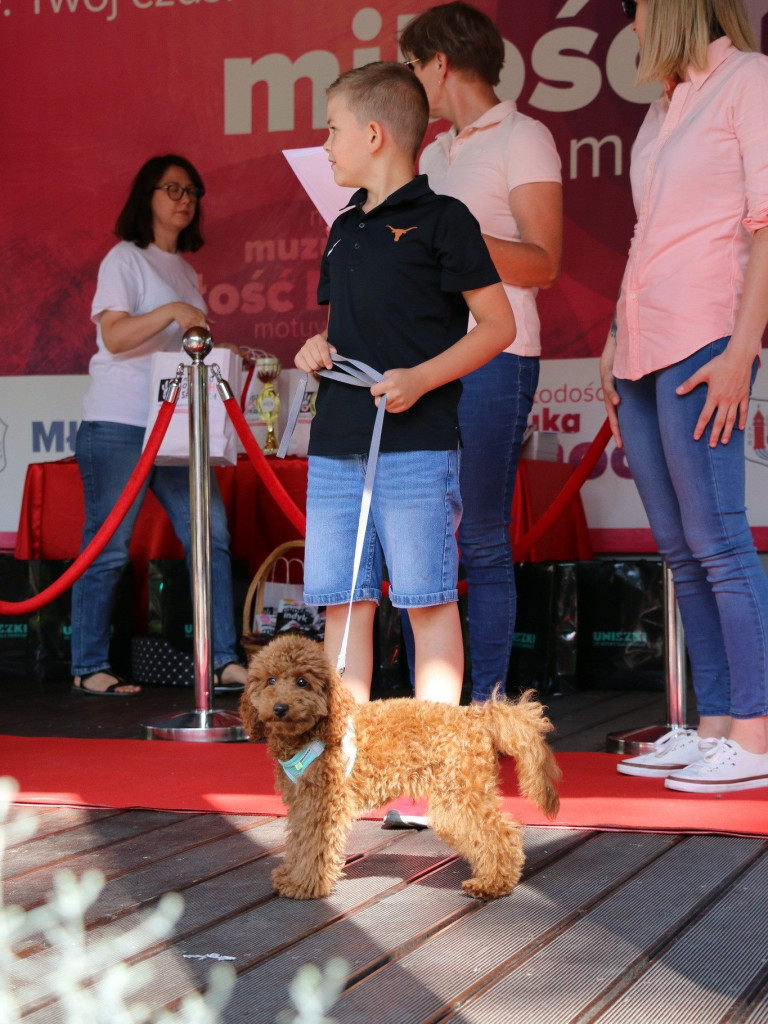 Piknik z Czworonogiem [ZDJĘCIA]