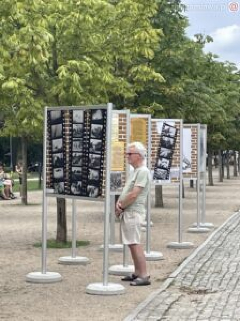 Piknik militarny w Mławie - fotorelacja