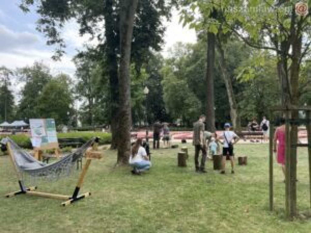 Piknik militarny w Mławie - fotorelacja