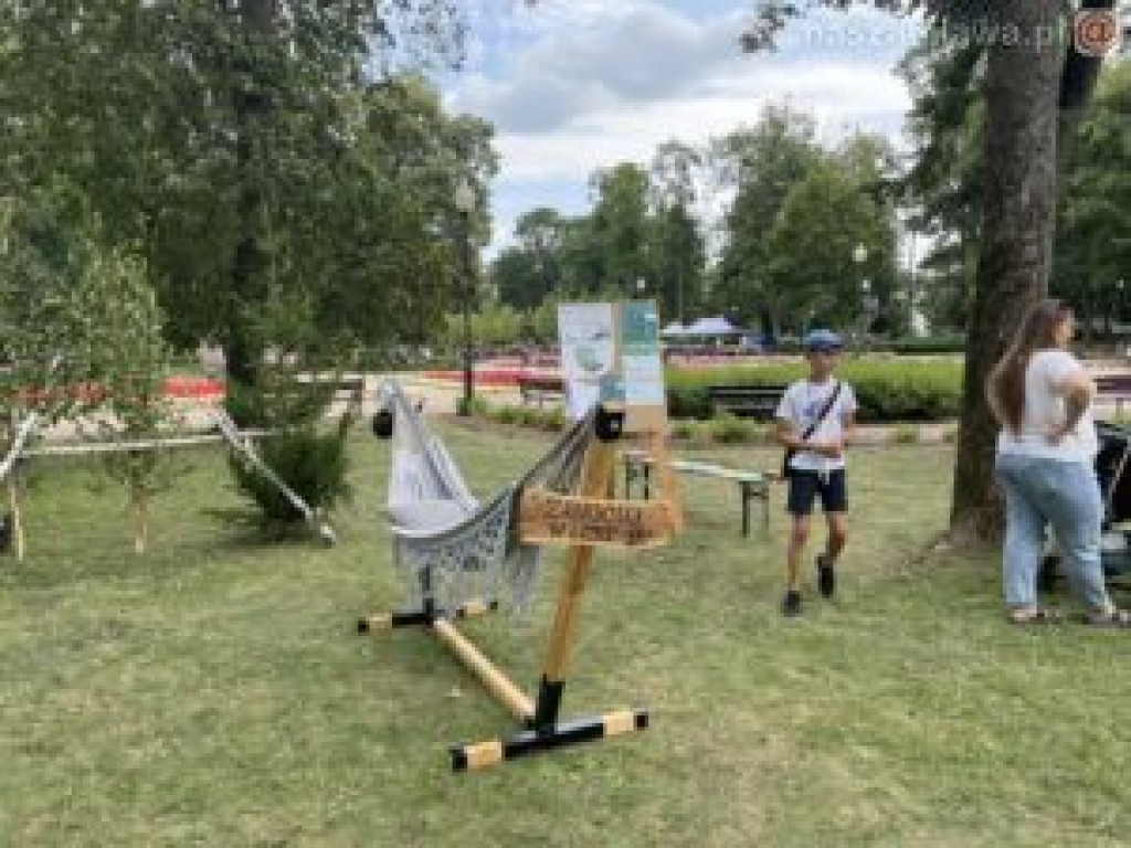 Piknik militarny w Mławie - fotorelacja