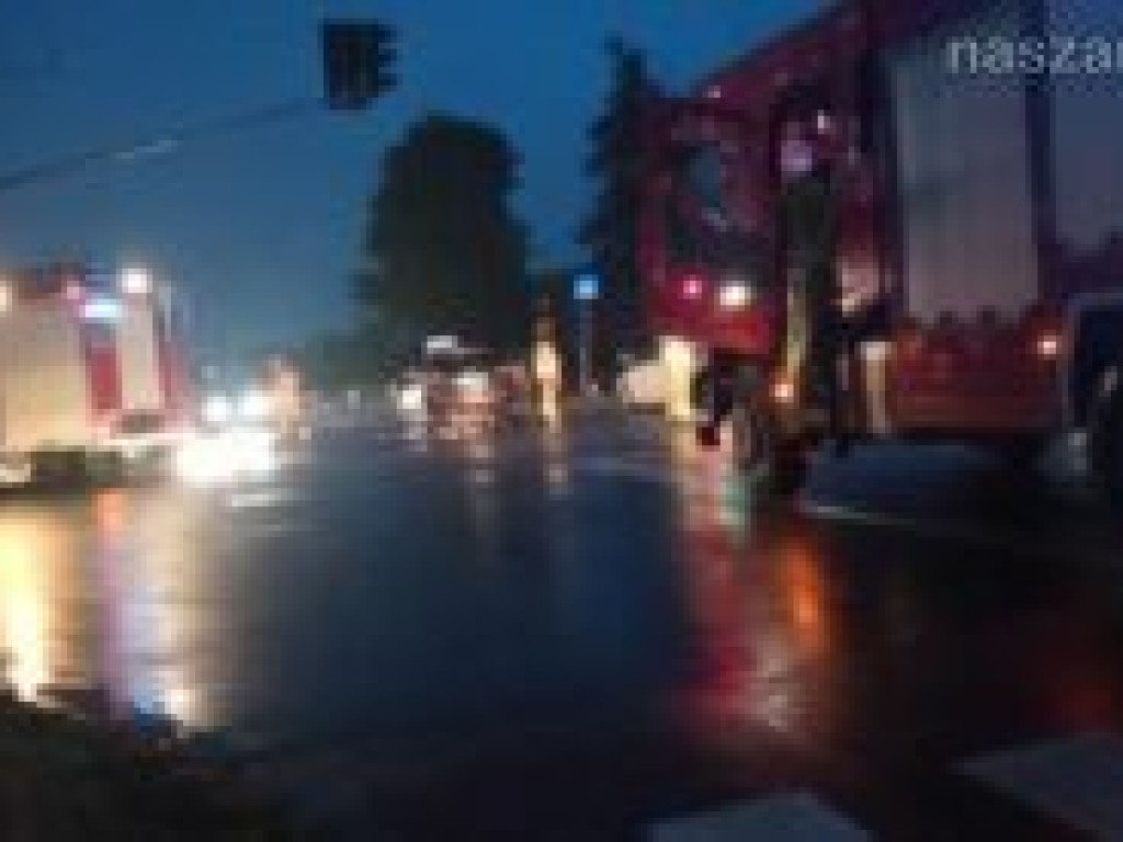 Ranne 4-letnie dziecko i dwoje dorosłych