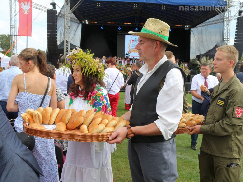 Barwny korowód z mławianami na Dożynkach Wojewódzkich [ZDJĘCIA]