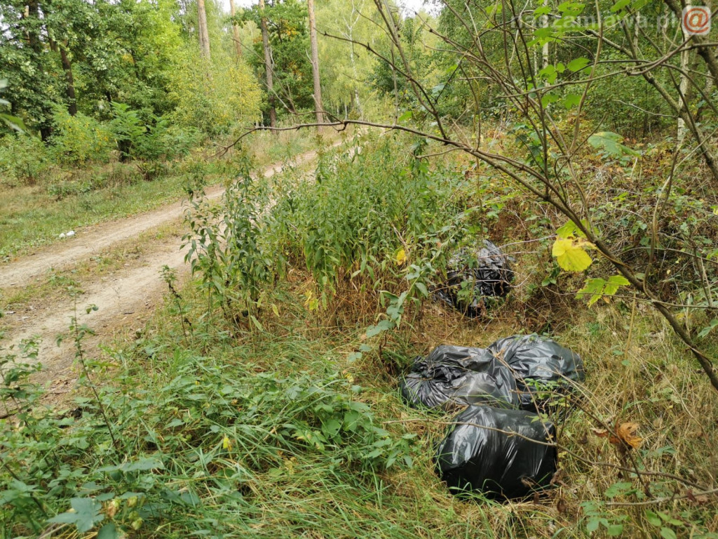 Jak oni sprzątali [ZDJĘCIA]