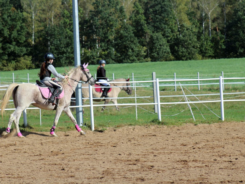 Jak oni skakali. Pierwsze Towarzyskie Zawody [ZDJĘCIA]