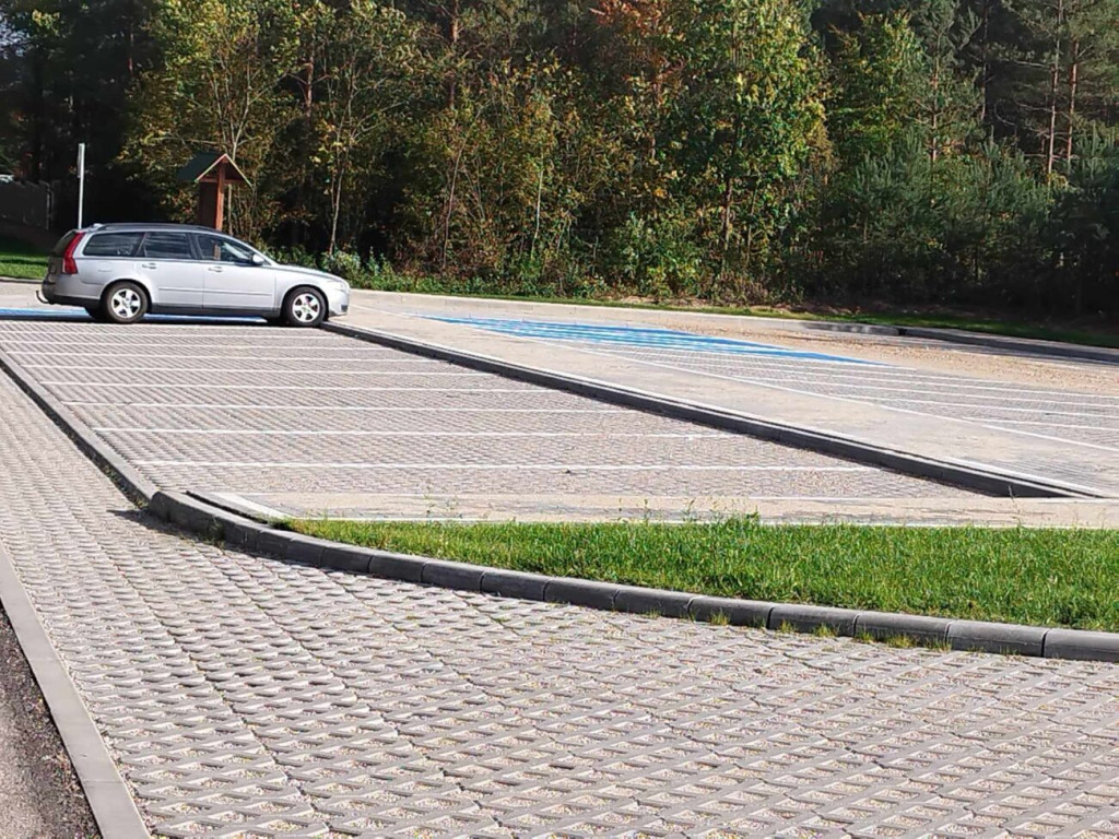 Prace przy 10-hektarowej zagrodzie dla żubrów [ZDJĘCIA]