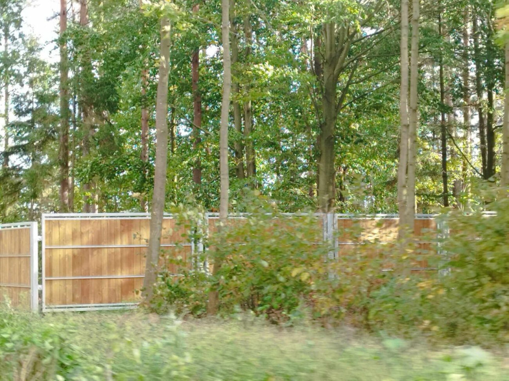 Prace przy 10-hektarowej zagrodzie dla żubrów [ZDJĘCIA]