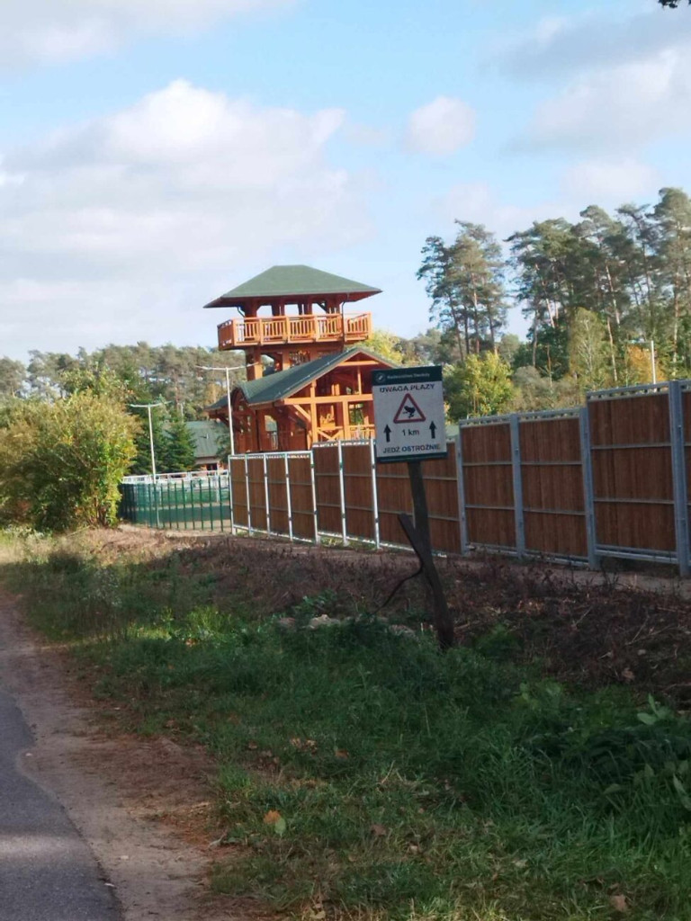 Prace przy 10-hektarowej zagrodzie dla żubrów [ZDJĘCIA]