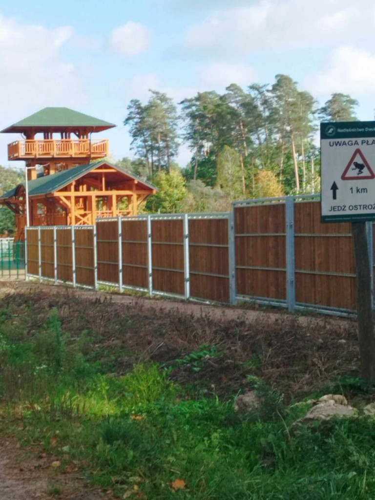 Prace przy 10-hektarowej zagrodzie dla żubrów [ZDJĘCIA]