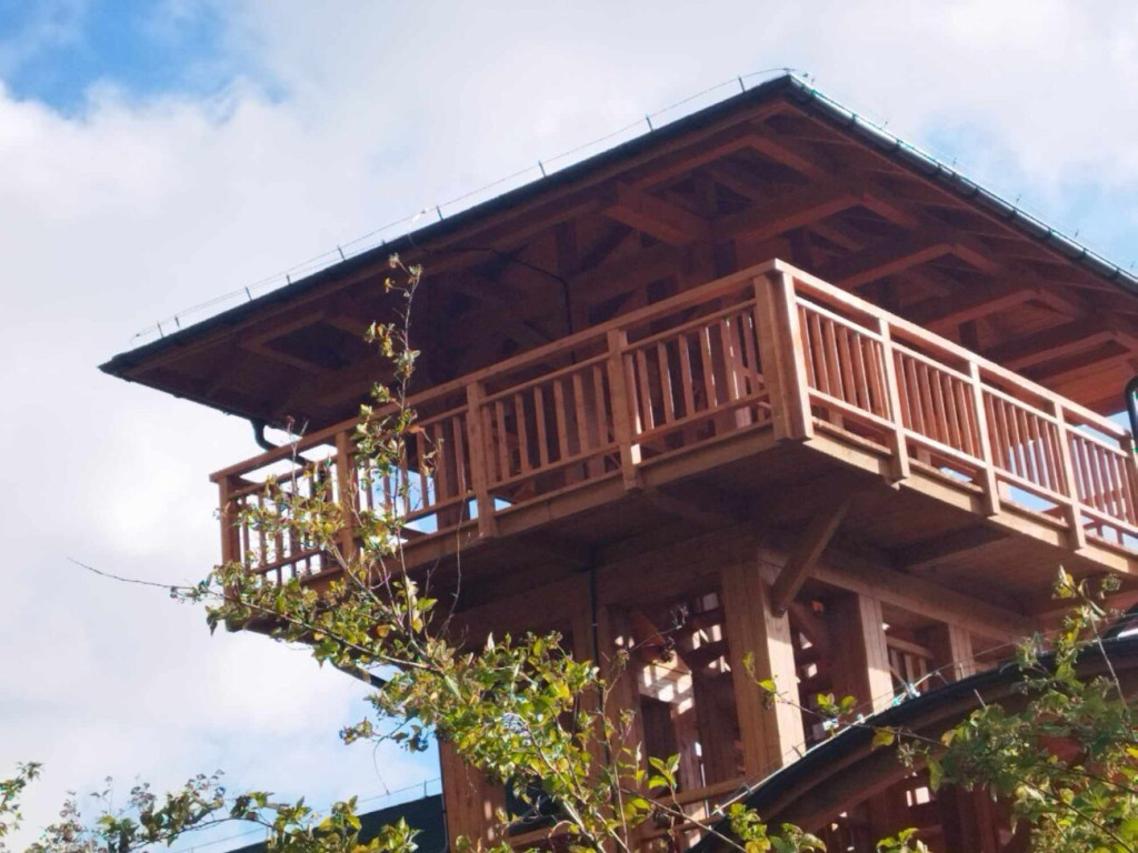 Prace przy 10-hektarowej zagrodzie dla żubrów [ZDJĘCIA]