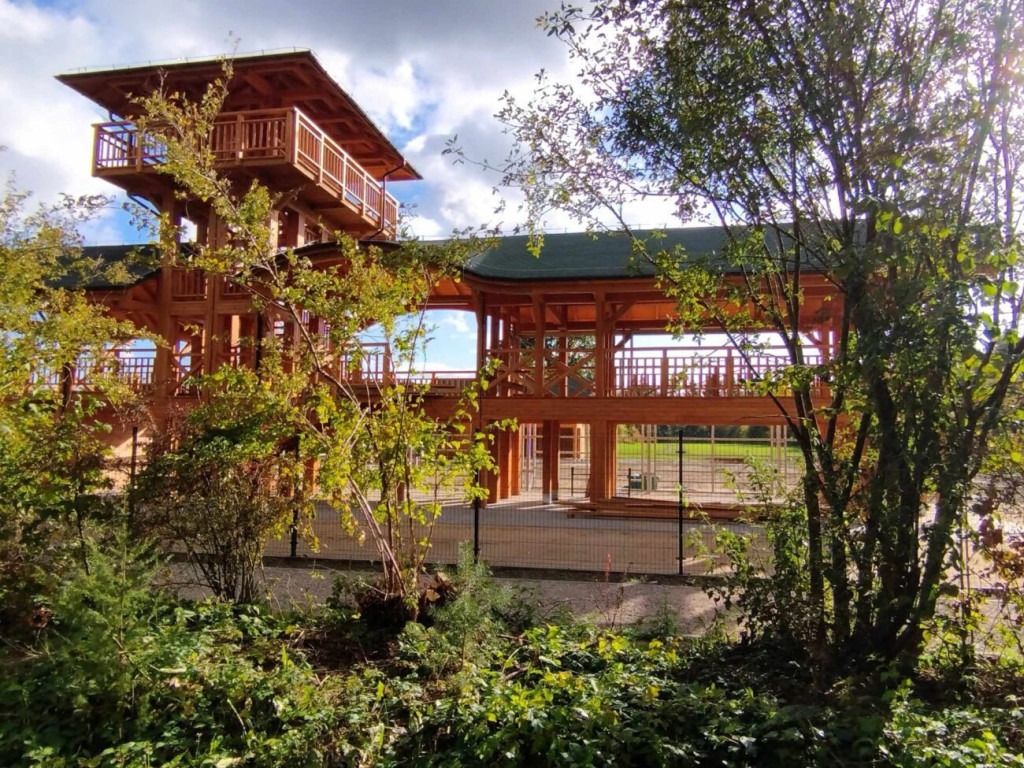 Prace przy 10-hektarowej zagrodzie dla żubrów [ZDJĘCIA]