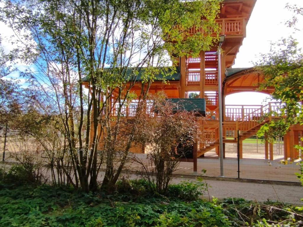 Prace przy 10-hektarowej zagrodzie dla żubrów [ZDJĘCIA]