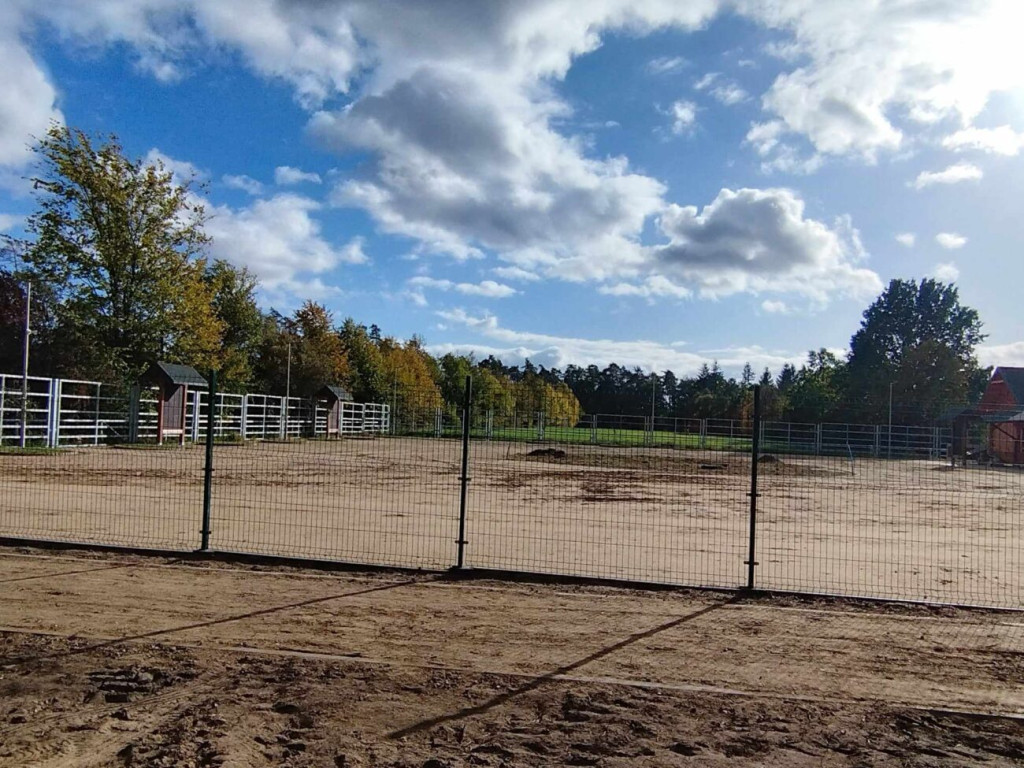 Prace przy 10-hektarowej zagrodzie dla żubrów [ZDJĘCIA]