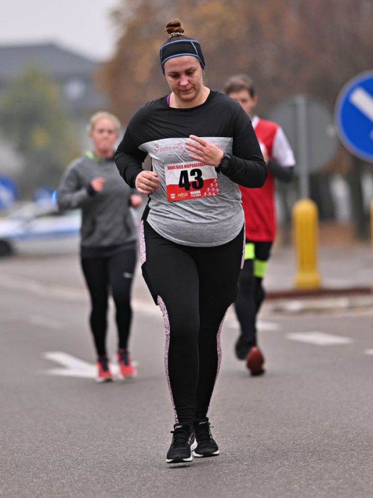 Bieg Niepodległości w Mławie. ZOBACZCIE ZDJĘCIA!