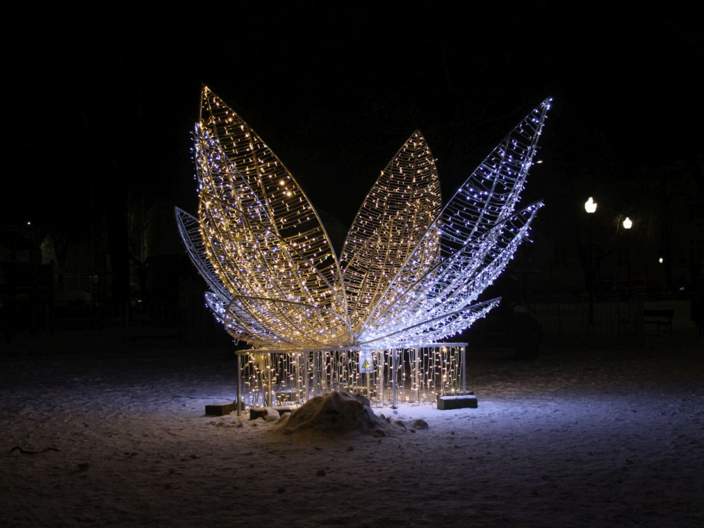 Mławski ogród świateł [FILM I ZDJĘCIA]