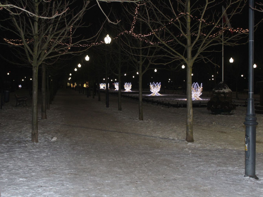 Mławski ogród świateł [FILM I ZDJĘCIA]