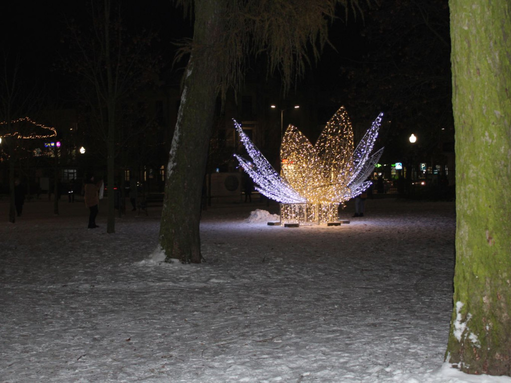 Mławski ogród świateł [FILM I ZDJĘCIA]