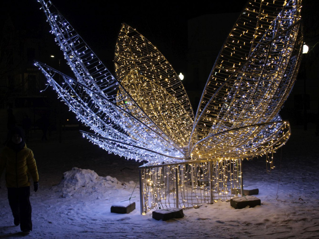 Mławski ogród świateł [FILM I ZDJĘCIA]