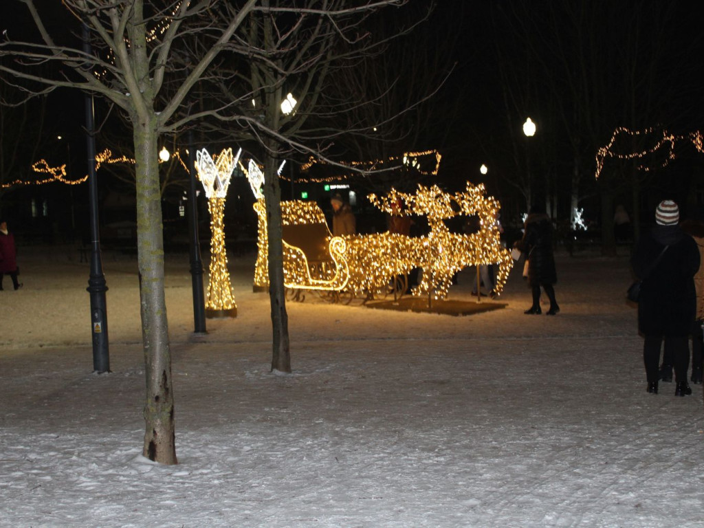 Mławski ogród świateł [FILM I ZDJĘCIA]