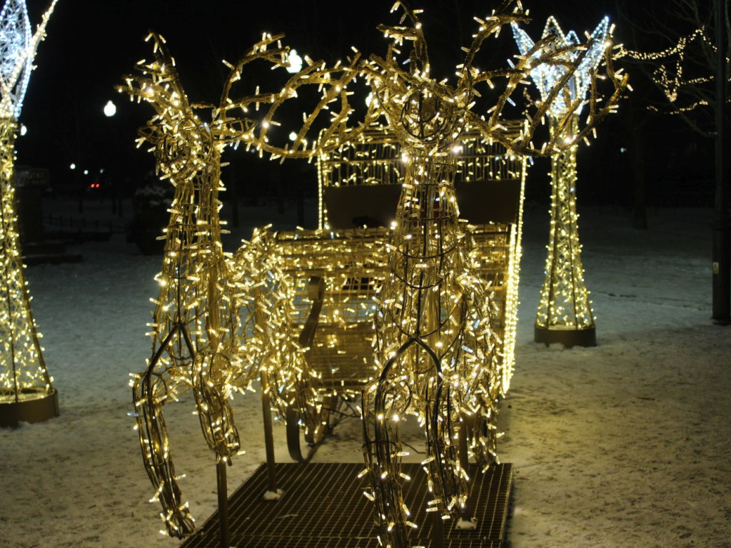 Mławski ogród świateł [FILM I ZDJĘCIA]