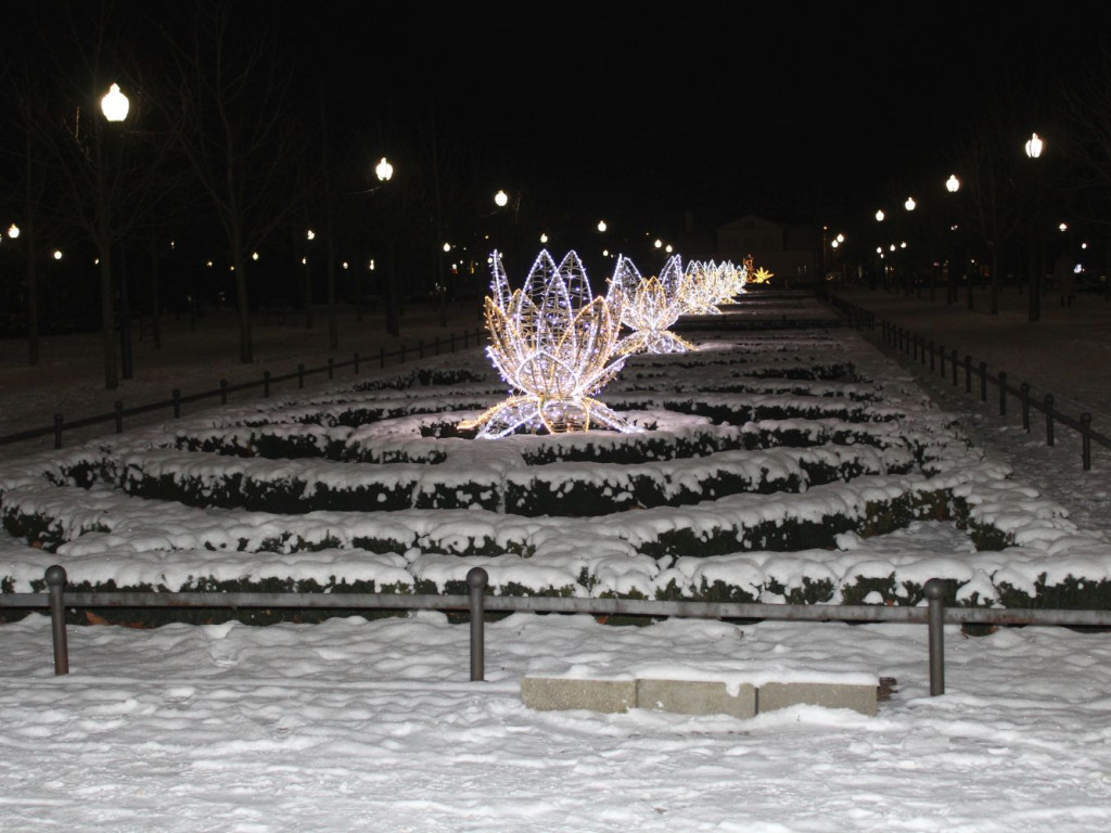 Mławski ogród świateł [FILM I ZDJĘCIA]