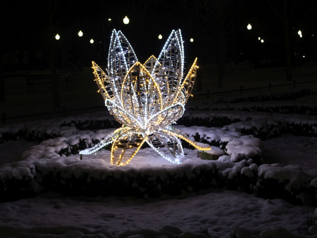 Mławski ogród świateł [FILM I ZDJĘCIA]