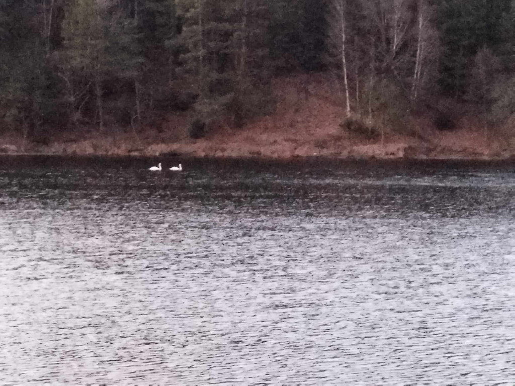 Zalew napełniony wodą [ZDJĘCIA]