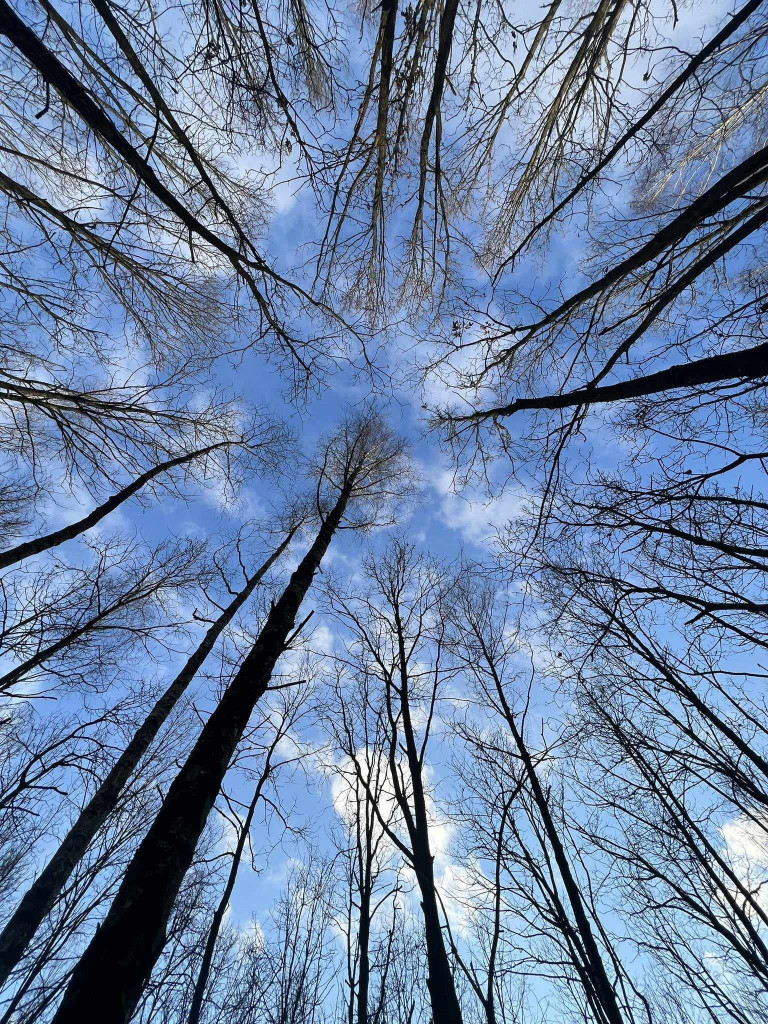 Zalew Ruda. Czy o to chodziło? [ZDJĘCIA]