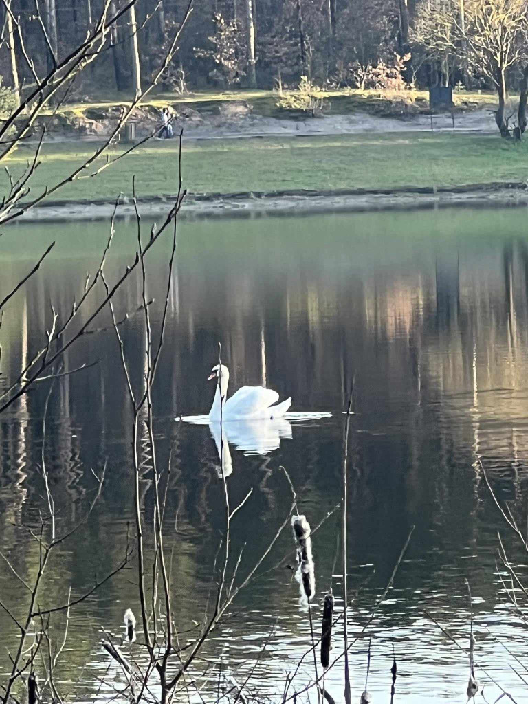 Zalew Ruda. Czy o to chodziło? [ZDJĘCIA]