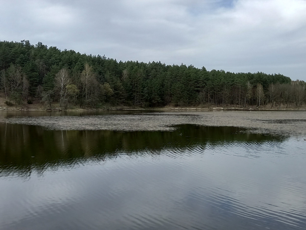 Nad zalewem Ruda [ZDJĘCIA]