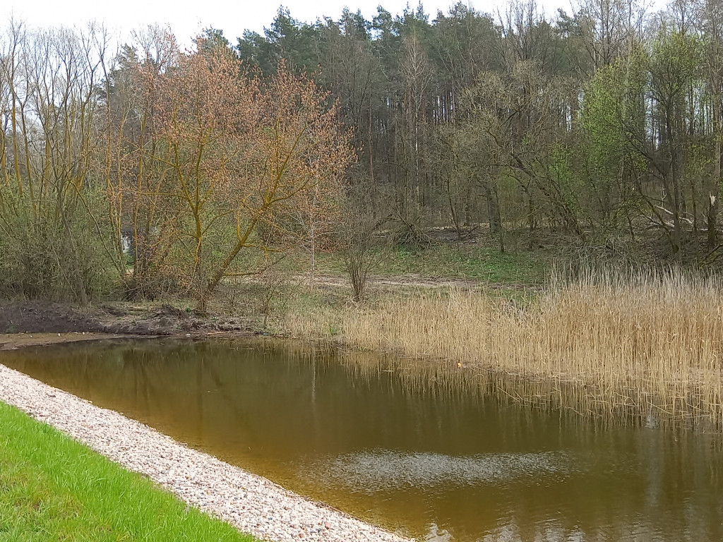 Nad zalewem Ruda [ZDJĘCIA]