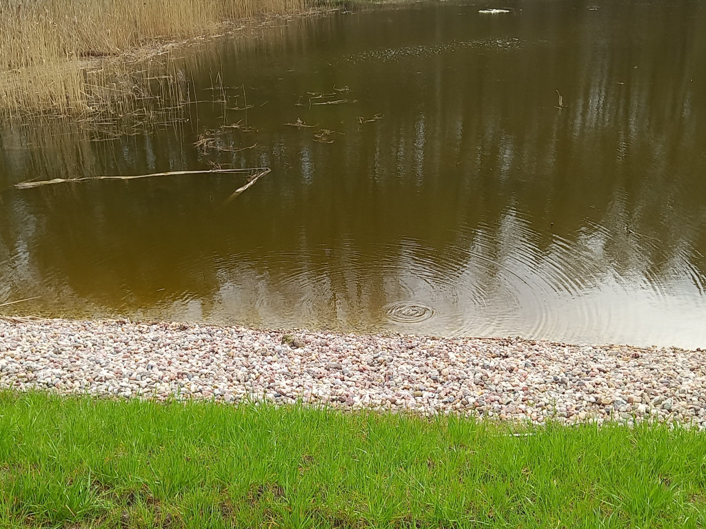 Nad zalewem Ruda [ZDJĘCIA]