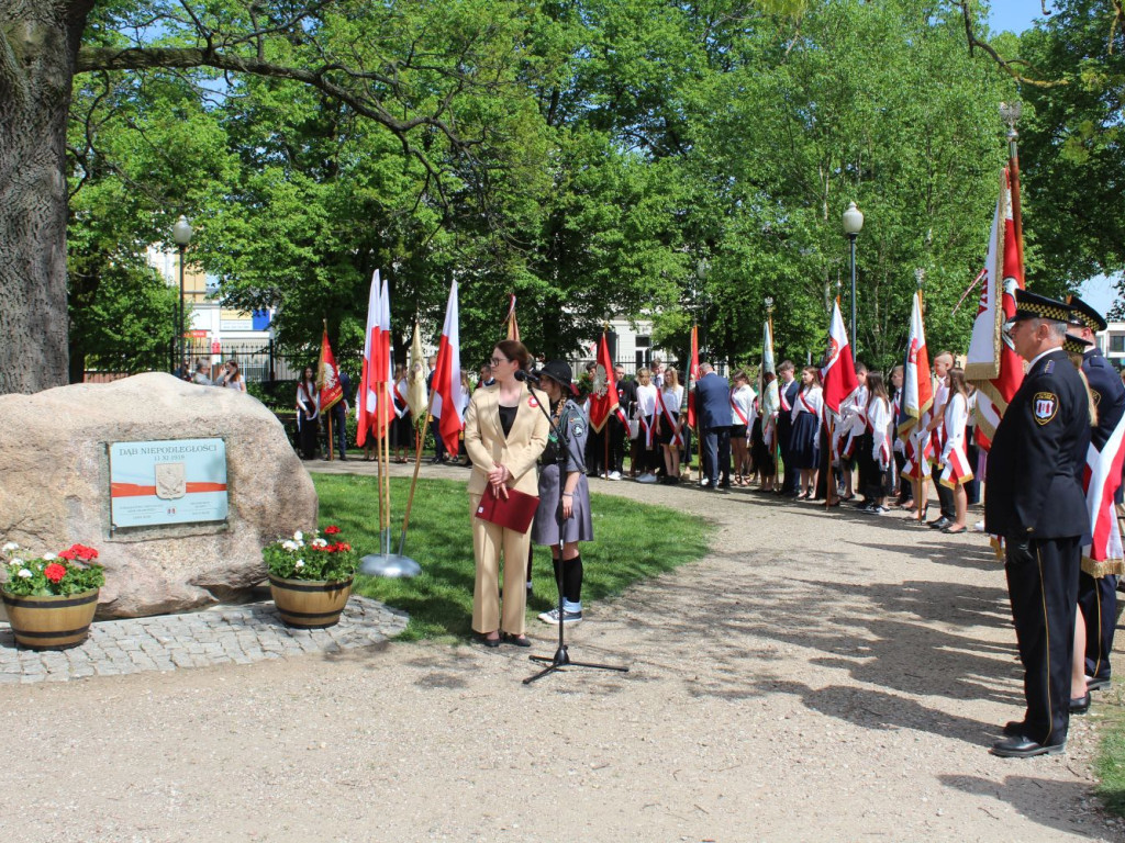 Mławskie obchody uchwalenia Konstytucji 3 Maja
