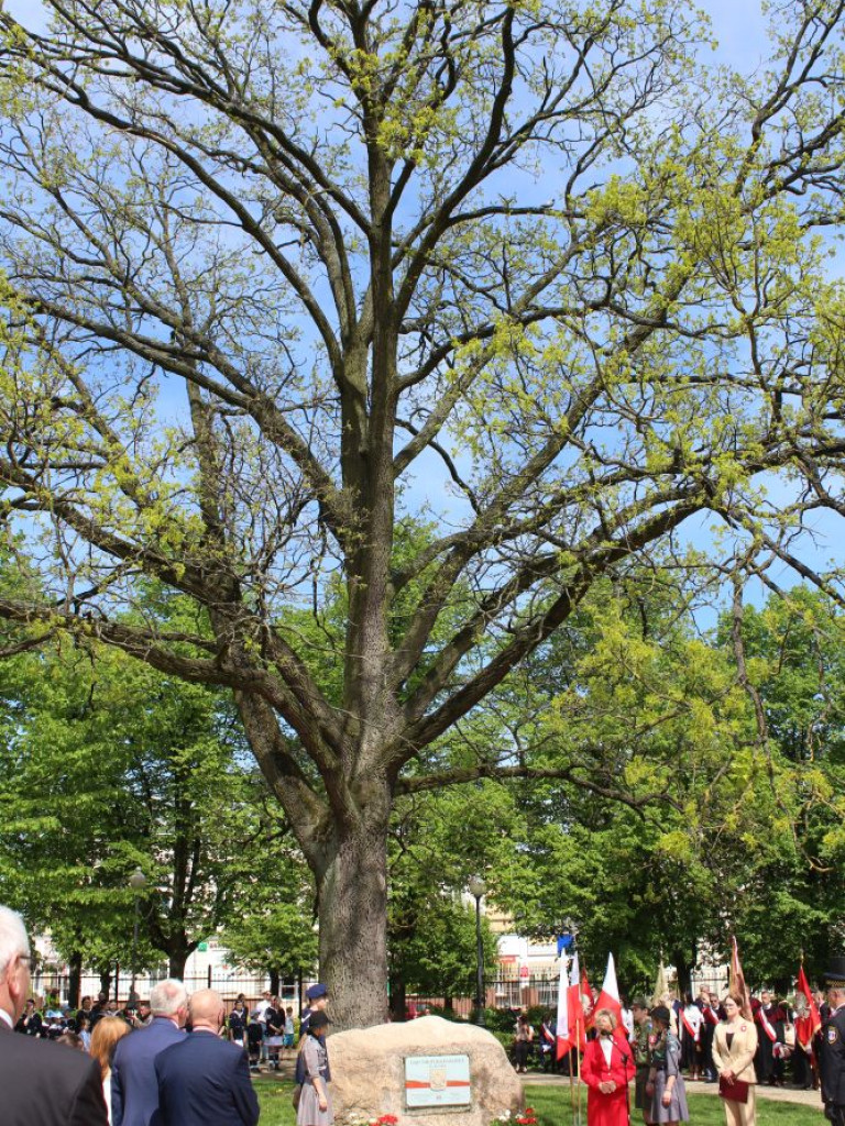 Mławskie obchody uchwalenia Konstytucji 3 Maja