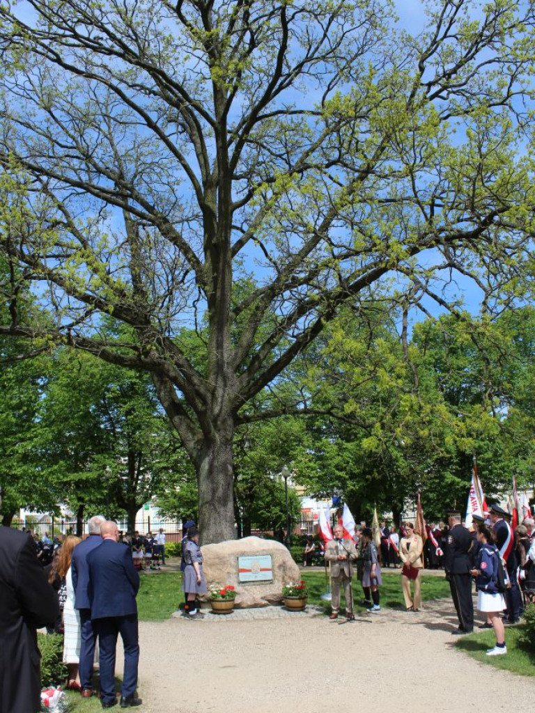 Mławskie obchody uchwalenia Konstytucji 3 Maja