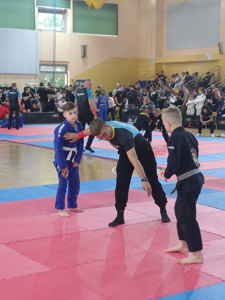 Złoto i brąz wojowniczek. Dzielny husarz Aleks