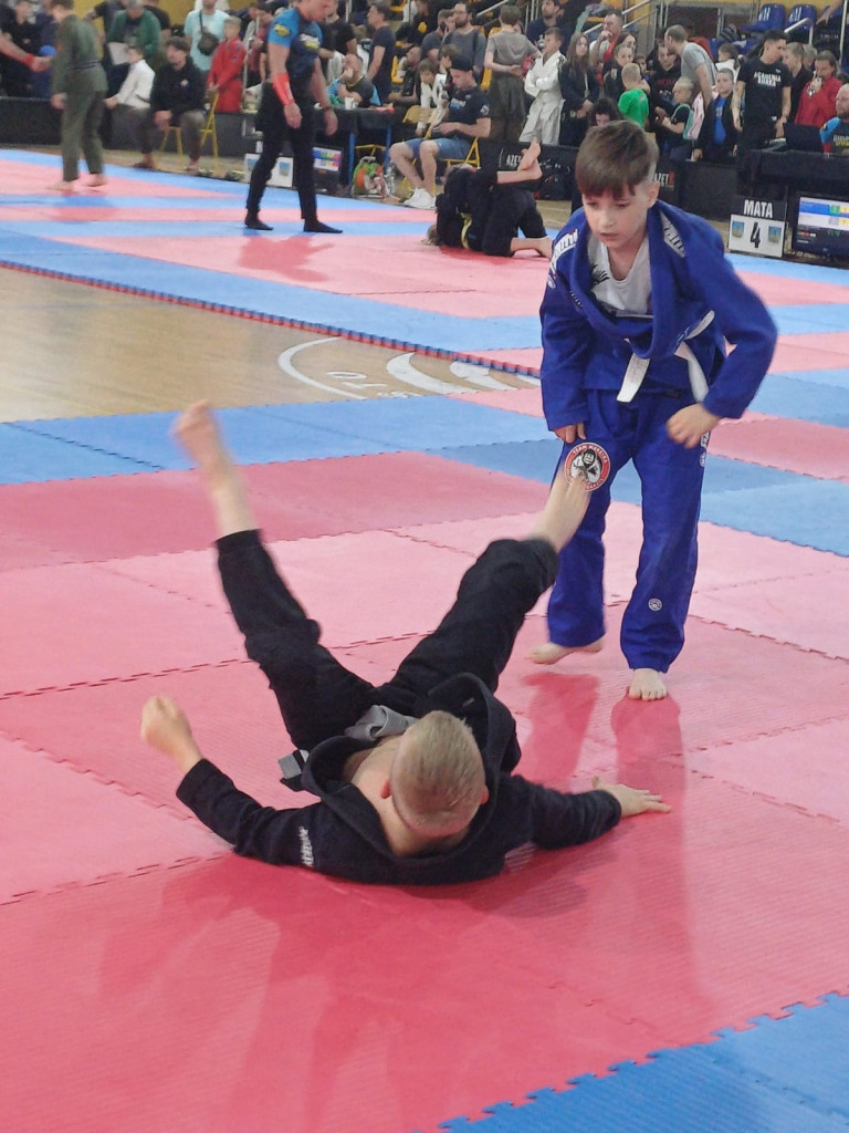 Złoto i brąz wojowniczek. Dzielny husarz Aleks