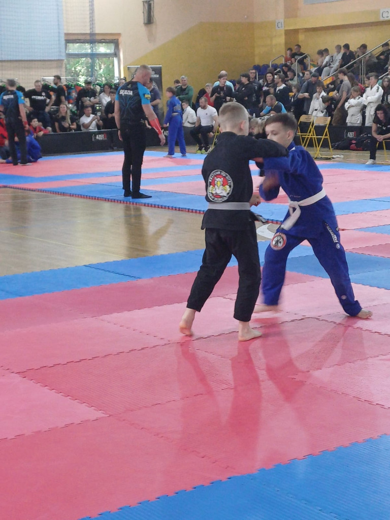 Złoto i brąz wojowniczek. Dzielny husarz Aleks