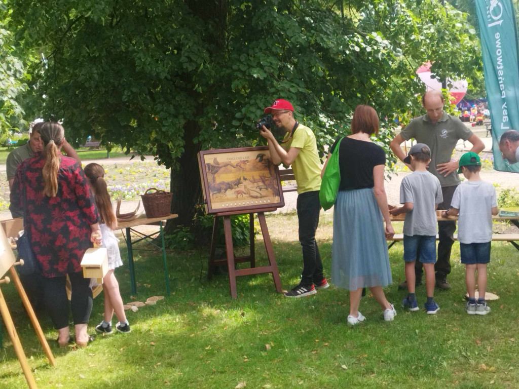 Mławski park pełen atrakcji [ZDJĘCIA]