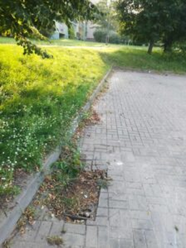 Problemy z kanalizacją deszczową w Mławie